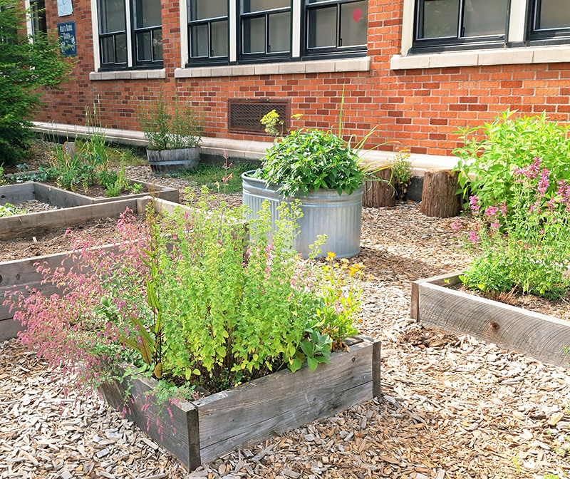 ARLETA-SCHOOL-GARDEN-BEDS-2--1