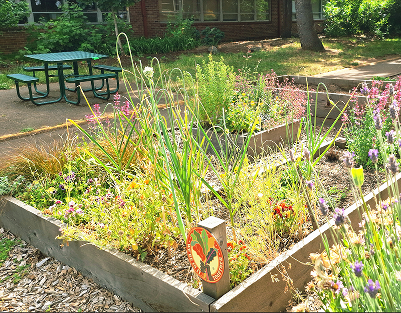 ARLETA-SCHOOL-GARDEN-BEDS