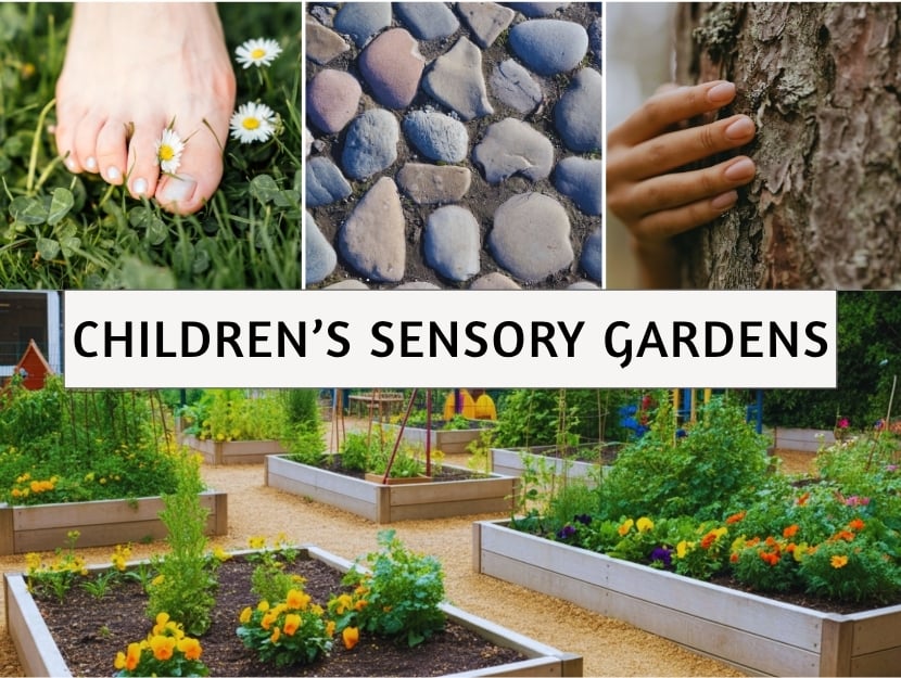 stonybrook landscape design-children's sensory gardens