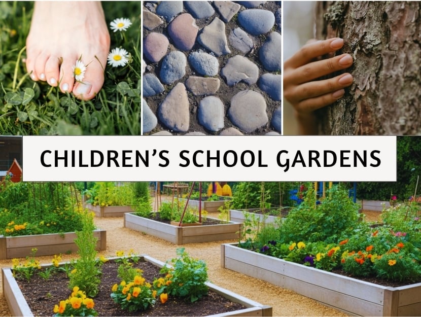 stonybrook landscape design children's school gardens
