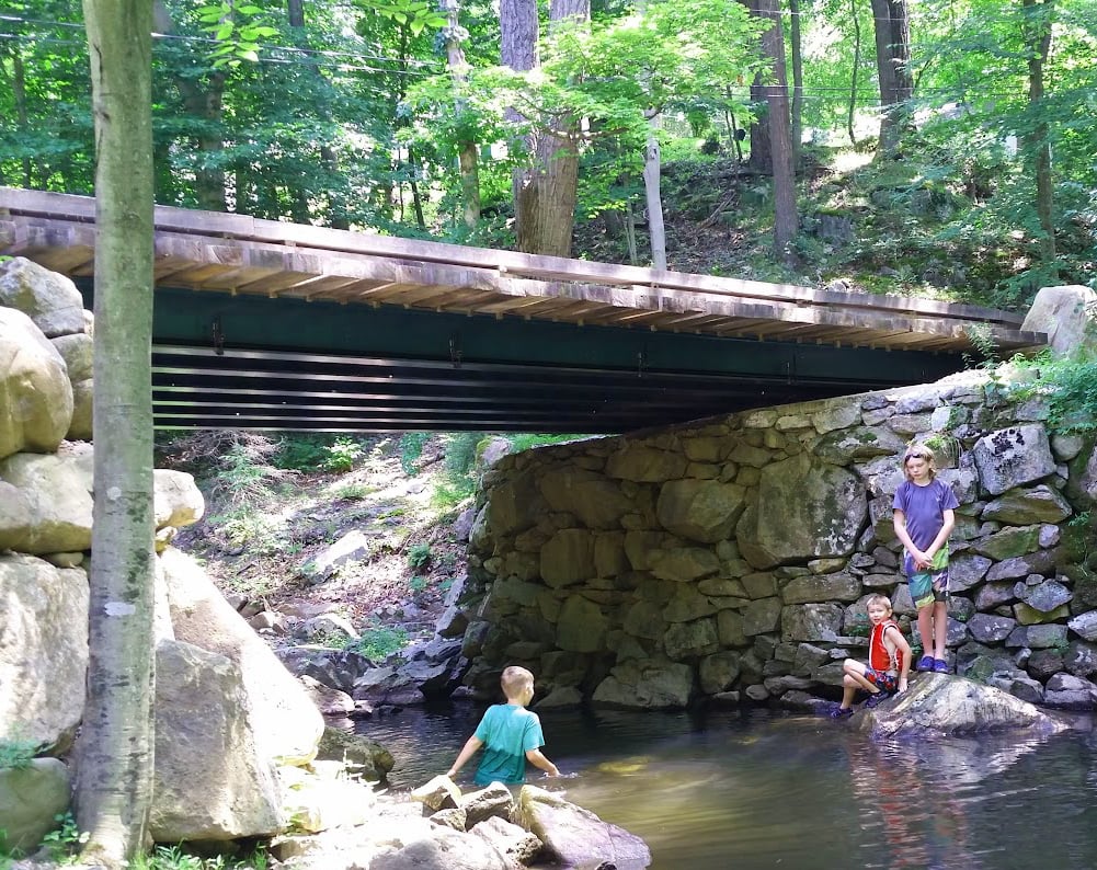 STONYBROOK RUMBLE BRIDGE 3