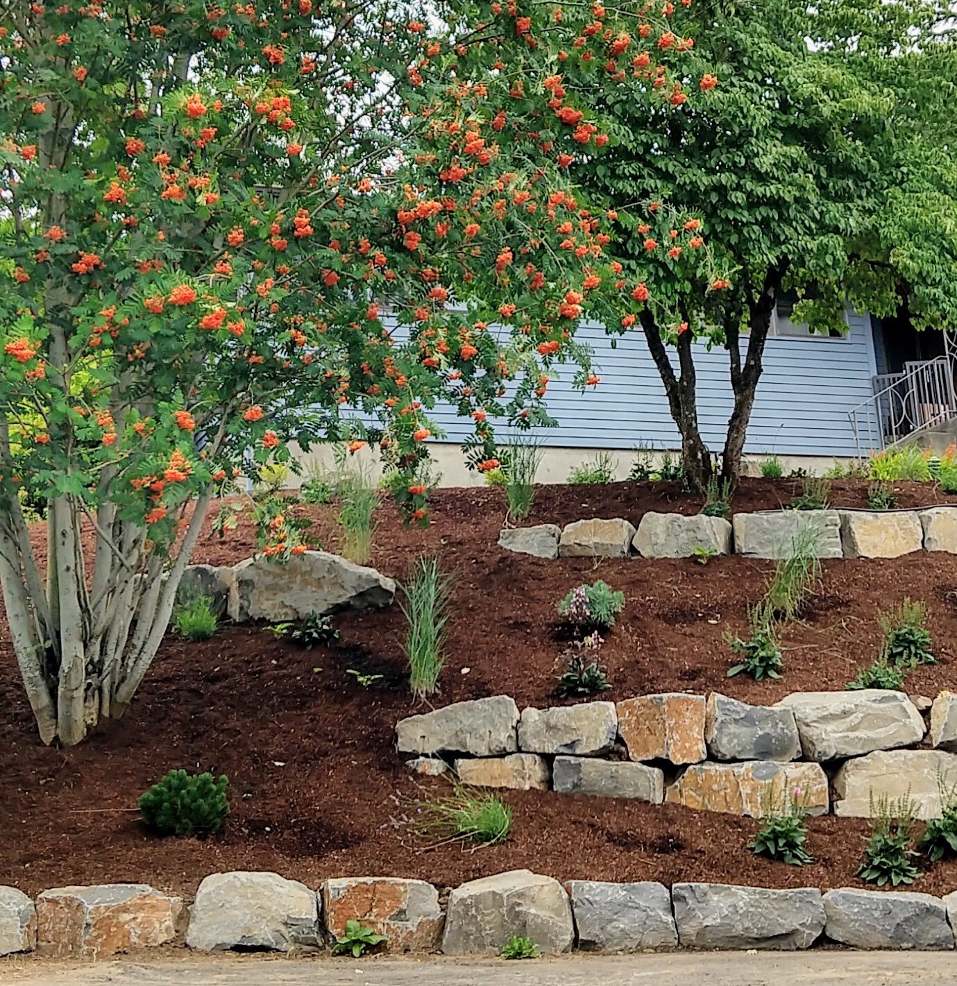 Stonybrook Landscape Design_Harmony Design Northwest_Raimer Front Yard_After 1-1