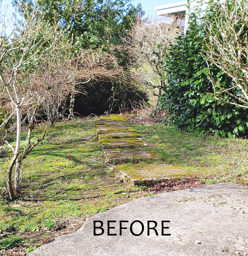 Stonybrook-Landscape-Design_Harmony-Design-Northwest_Raimer-Front-Yard-Pathway_Before-1
