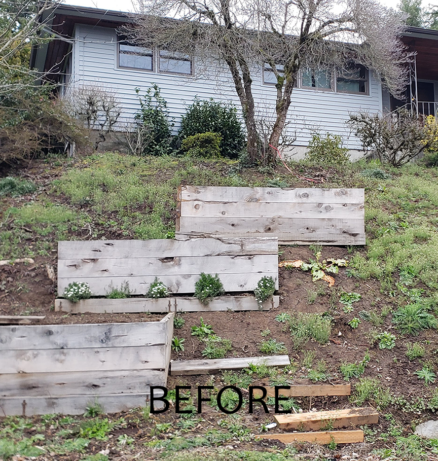 Stonybrook-Landscape-Design_Harmony-Design-Northwest_Raimer-Front-Yard_Before-1